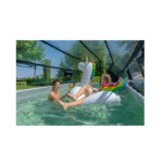 Dôme de piscine EXIT 540x250cm Le dôme de piscine EXIT est un abri multifonctionnel pour votre piscine. Le dôme convient aux piscines rectangulaires